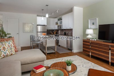 Downtown Apartment for rent 1 Bedroom 1 Bath Boston - $3,574