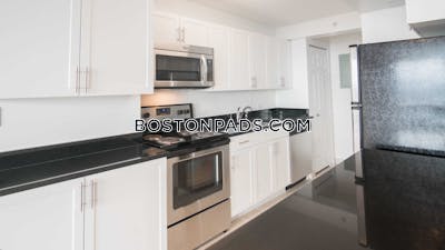 West End Apartment for rent 2 Bedrooms 2 Baths Boston - $4,945