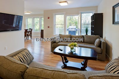 Cambridge Apartment for rent 1 Bedroom 1 Bath  Mt. Auburn/brattle/ Fresh Pond - $3,400 No Fee