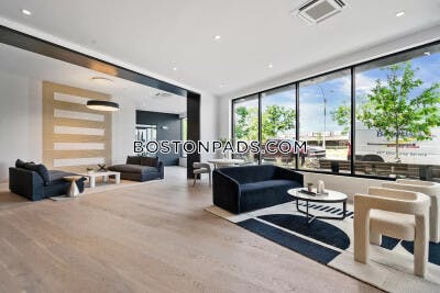 Brighton Apartment for rent Studio 1 Bath Boston - $3,250