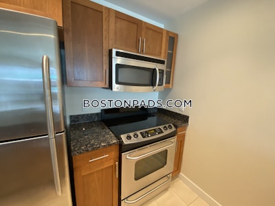 West End Apartment for rent 1 Bedroom 1 Bath Boston - $3,380