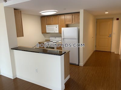 Dorchester Apartment for rent 2 Bedrooms 2 Baths Boston - $3,159 No Fee