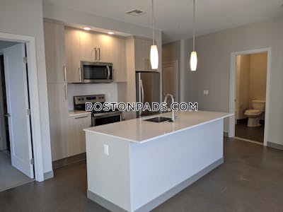 Jamaica Plain Apartment for rent 2 Bedrooms 2 Baths Boston - $3,750 No Fee